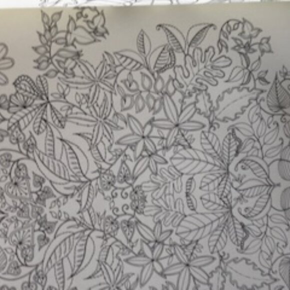 Secret Garden Treasure Hunt and Coloring Book - Picture 4 of 7